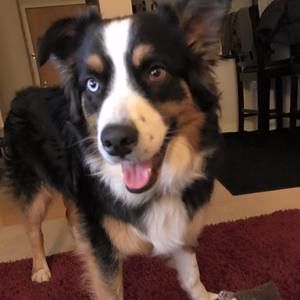 Meet your Posher, Deanna